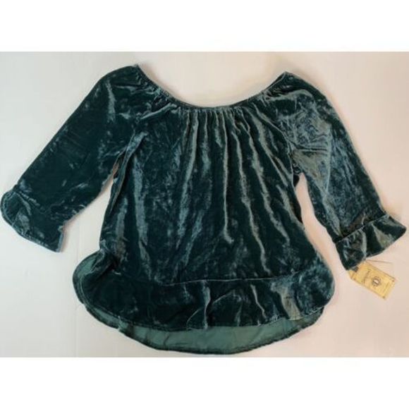 NWT Democracy Rayon/Nylon Green Velvet Velour Elastic Neck Blouse Top Size Small - Picture 3 of 5